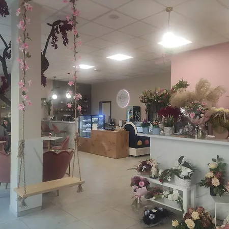 Artystyczny Appartamento Racibórz