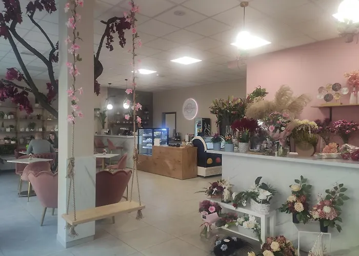 Artystyczny דירה ראסיבורז'